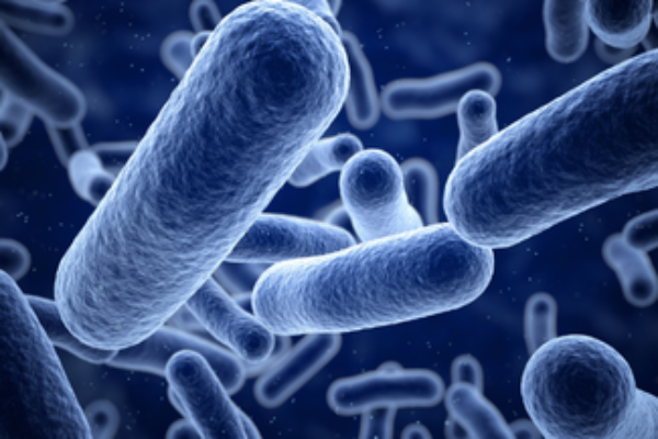 過去最多「人食いバクテリア」は溶連菌！？サムネイル